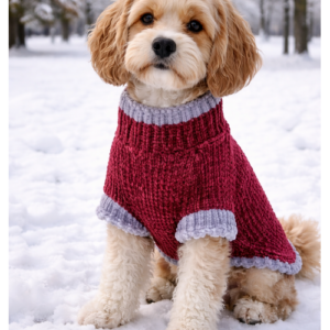 Hund trägt Ruby Comfort Hundepullover aus Chenille bei winterlicher Umgebung im Schnee