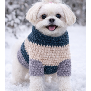 Kleiner Hund trägt Sanfter Begleiter Hundepullover aus Chenille im Schnee