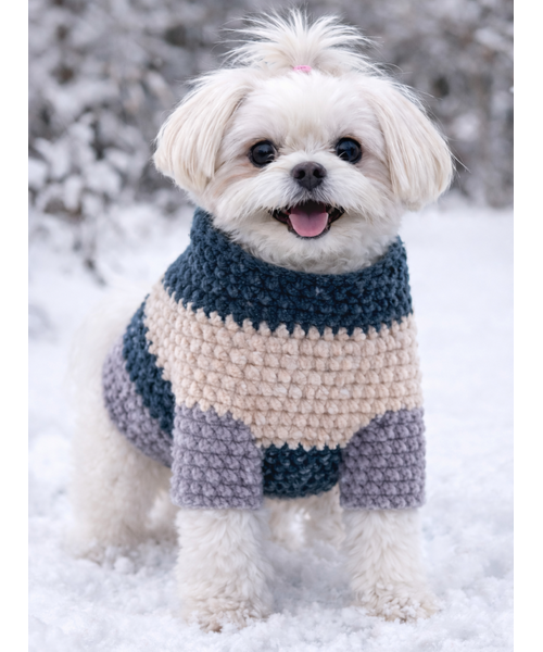 Kleiner Hund trägt Sanfter Begleiter Hundepullover aus Chenille im Schnee