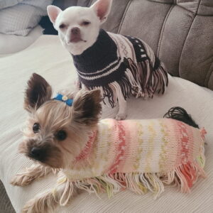 Zwei kleine Hunde tragen handgemachte Hundeponchos mit Fransen in hellen und dunklen Farbtönen auf Sofa